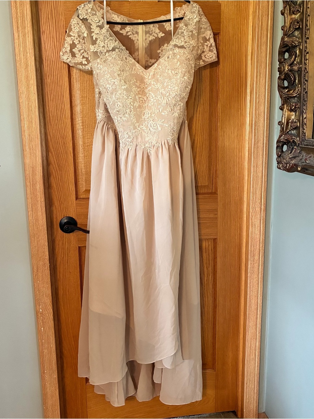 NWT JAEDEN 22 Pink Floral Lace Sequin Chiffon Lined Long Dress Formal